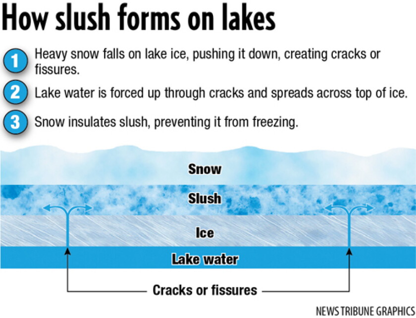 Spadafora Slush Heavy snow downs trees across snowmobile trails, causes slush on ...