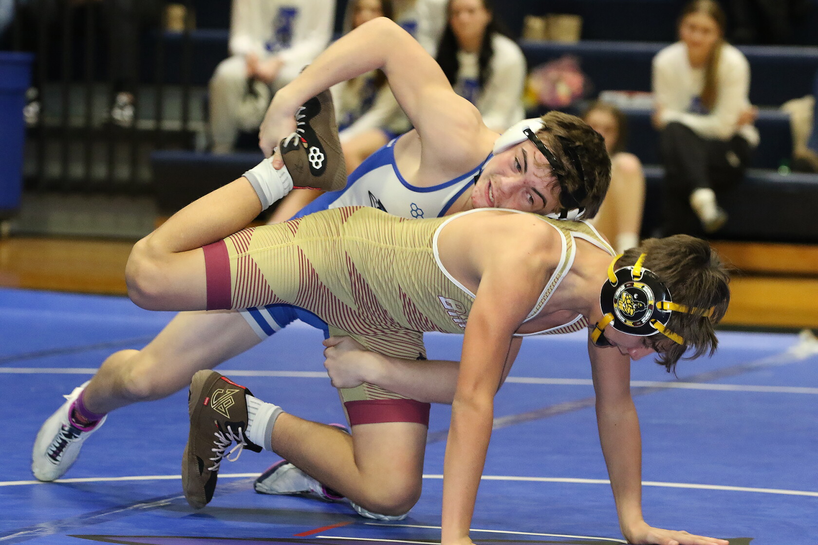 Blue Jays are sending five wrestlers to state tournament - Jamestown ...