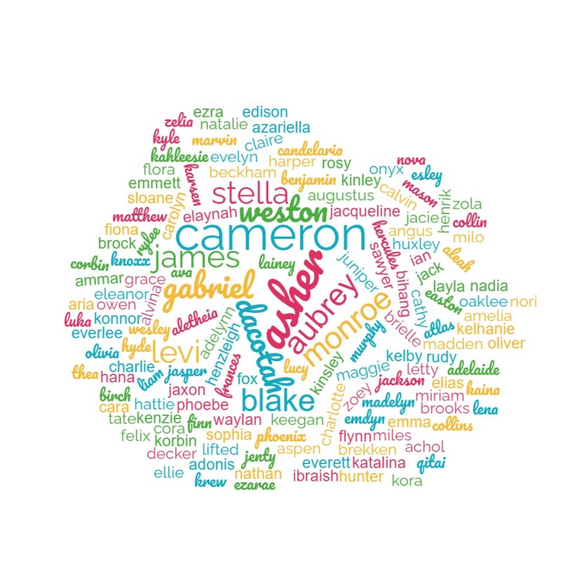 A word cloud featuring Cameron as the largest word, followed by Monroe, Aubrey, Blake, Dacotah, Gabriel, Levi, Asher, Stella and Weston.