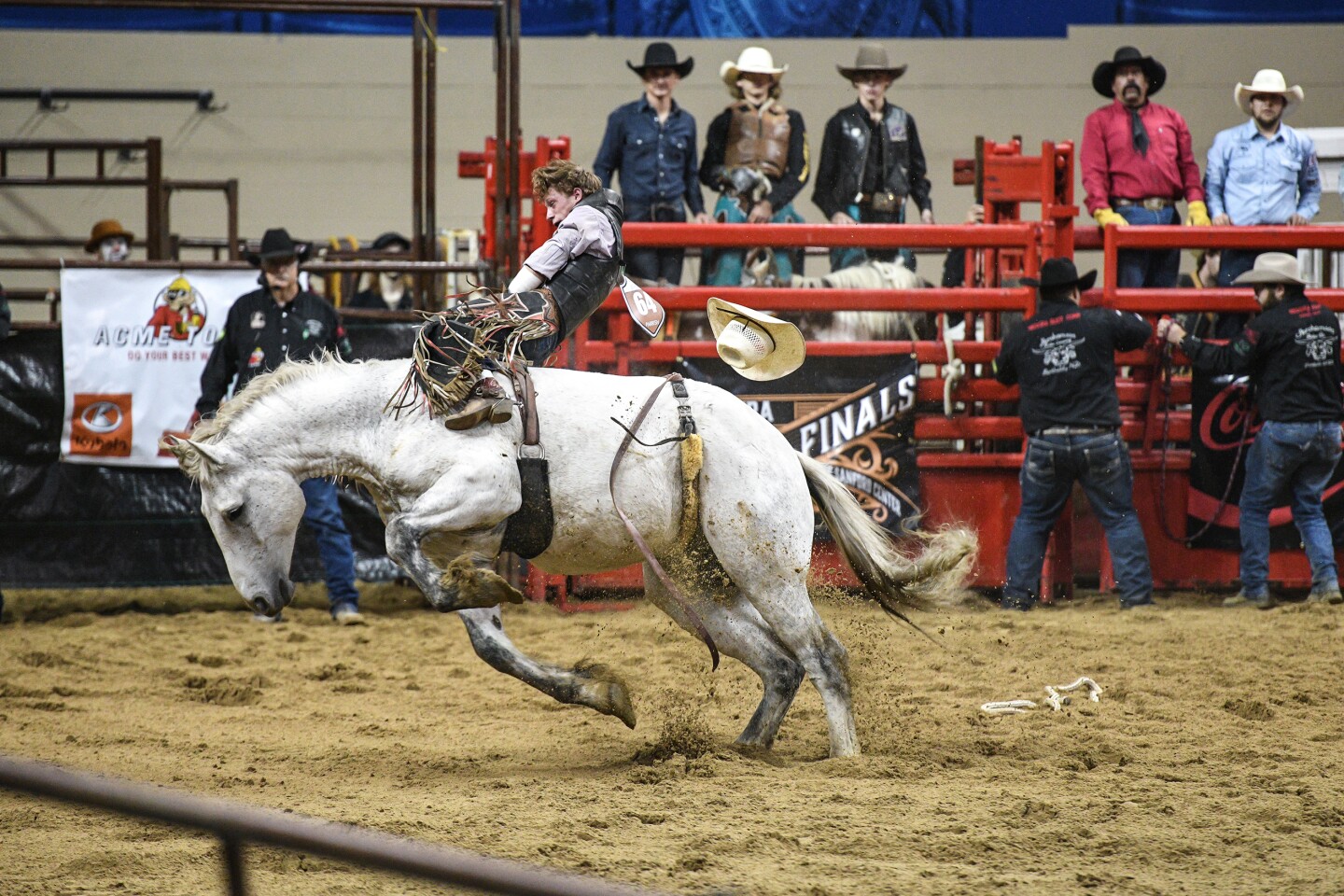 Photos: Minnesota Rodeo Association Finals underway at Sanford Center ...
