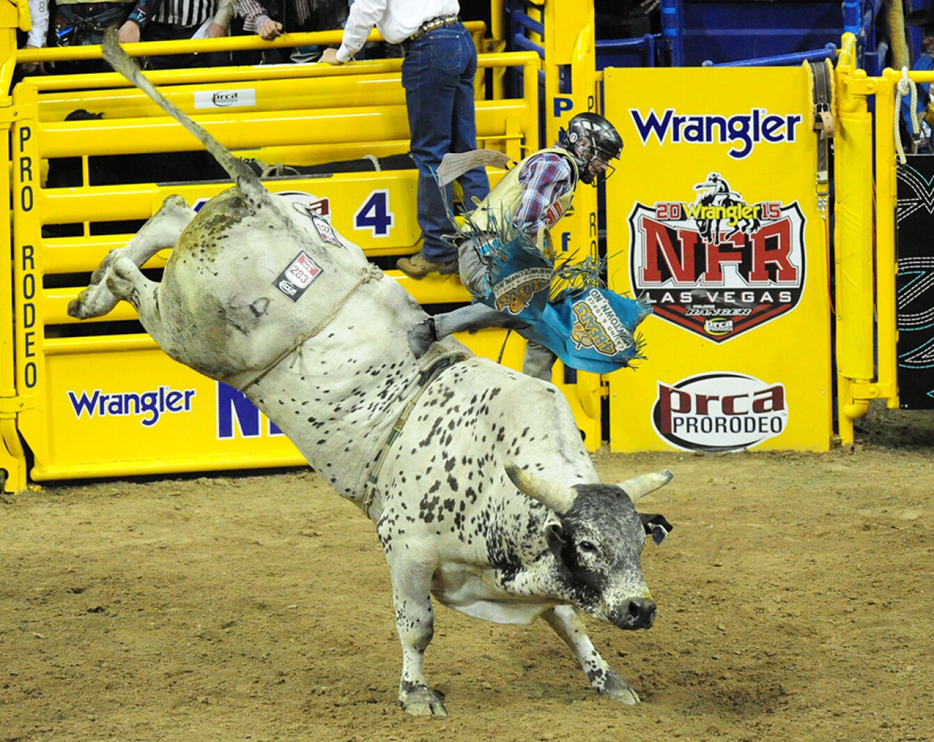 Detroit Lakes man earns first place in national rodeo - Detroit Lakes ...