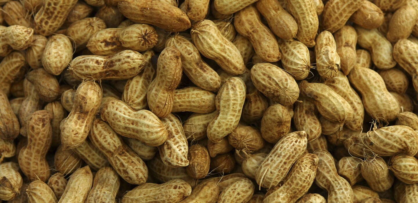 Feeding Pur ed Peanuts To Infants Can Reduce Allergy Risk West feeding-pur-ed-peanuts-to-infants-can-reduce-allergy-risk-west