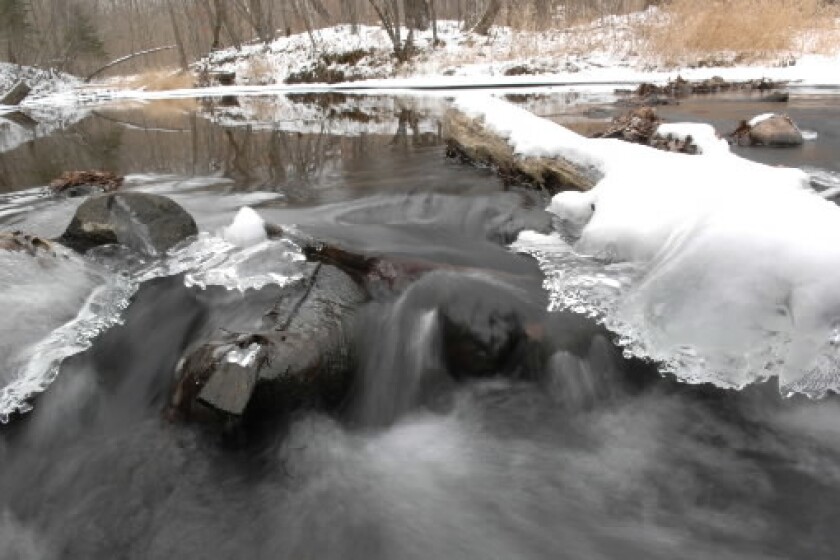 Warm winter