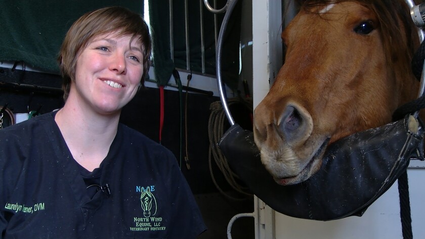 Laurelyn Keener owns North Wind Equine Veterinary Dentistry in Duluth, Minn. She spends much of her time traveling between North Dakota, Minnesota and the western edge of Wisconsin checking on horse’s mouths and teeth. Trevor Peterson/The Forum