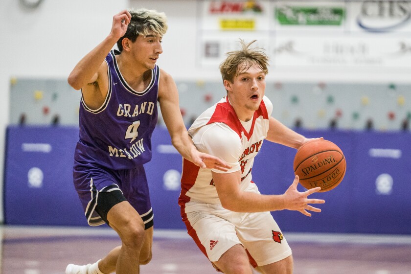Grand Meadow, LeRoy-Ostrander boys basketball