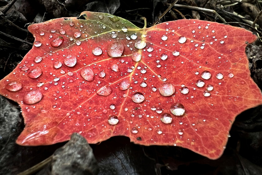 Astro Bob: Planet seasons and the start of fall - Duluth News Tribune ...