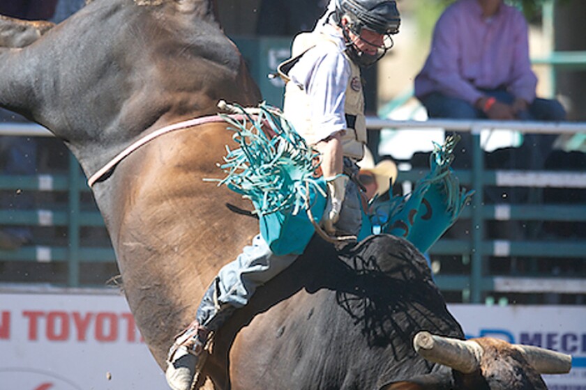 DL man headed to rodeo finals - Detroit Lakes Tribune | News, weather ...