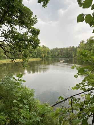 Crow Wing River.jpg
