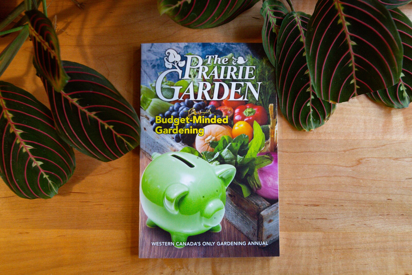 ‘Budget-Minded Gardening’ is a great gift for the gardeners in your life – InForum ‘Budget-Minded Gardening’ is a great gift for the gardeners in your life – InForum