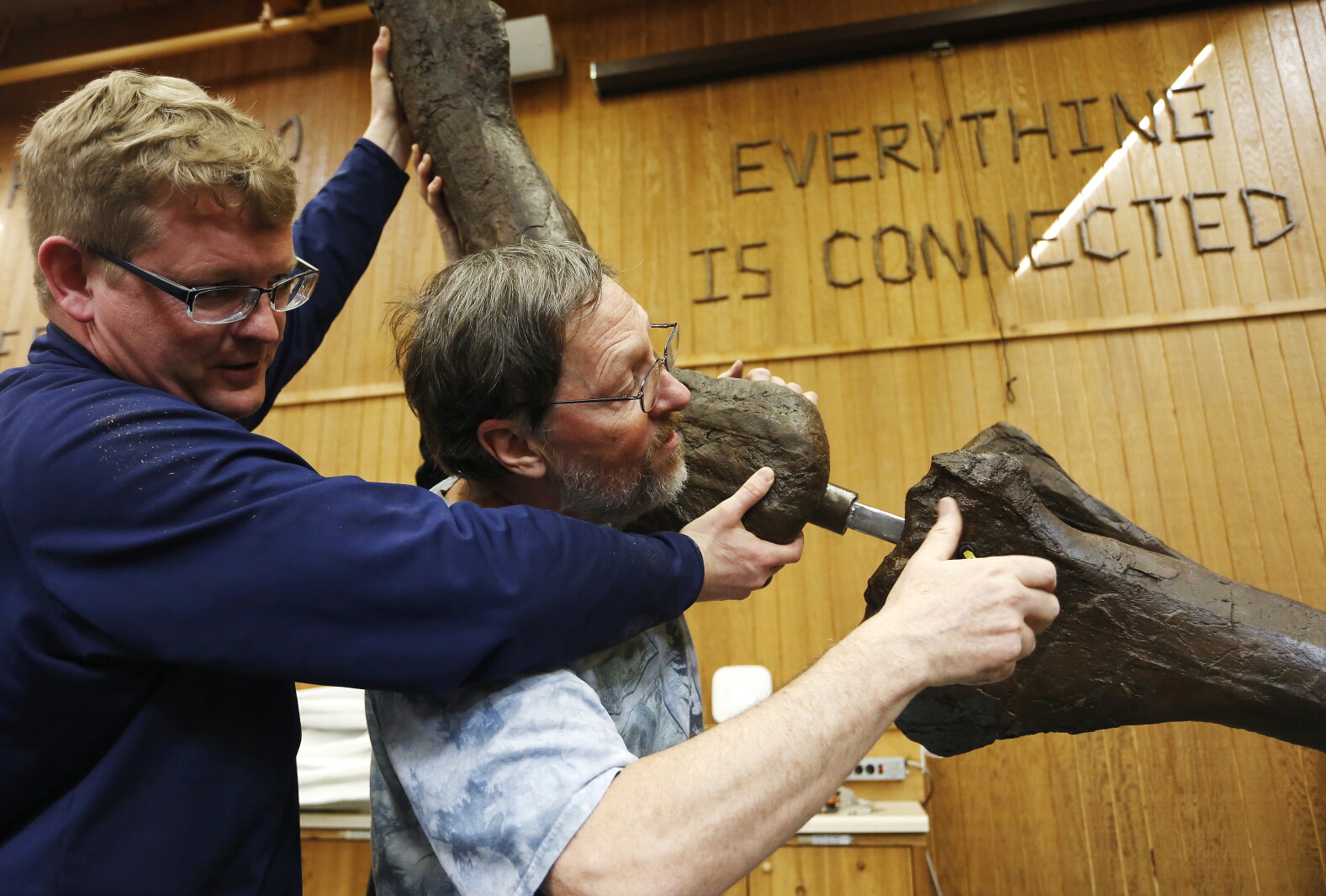 T Rex Building Post Photos: T. rex build at Quarry Hill Nature Center - Post Bulletin ...