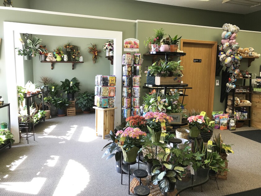 071119.N.PJ.SKUTEVIKSFLORAL 5 cr .jpg