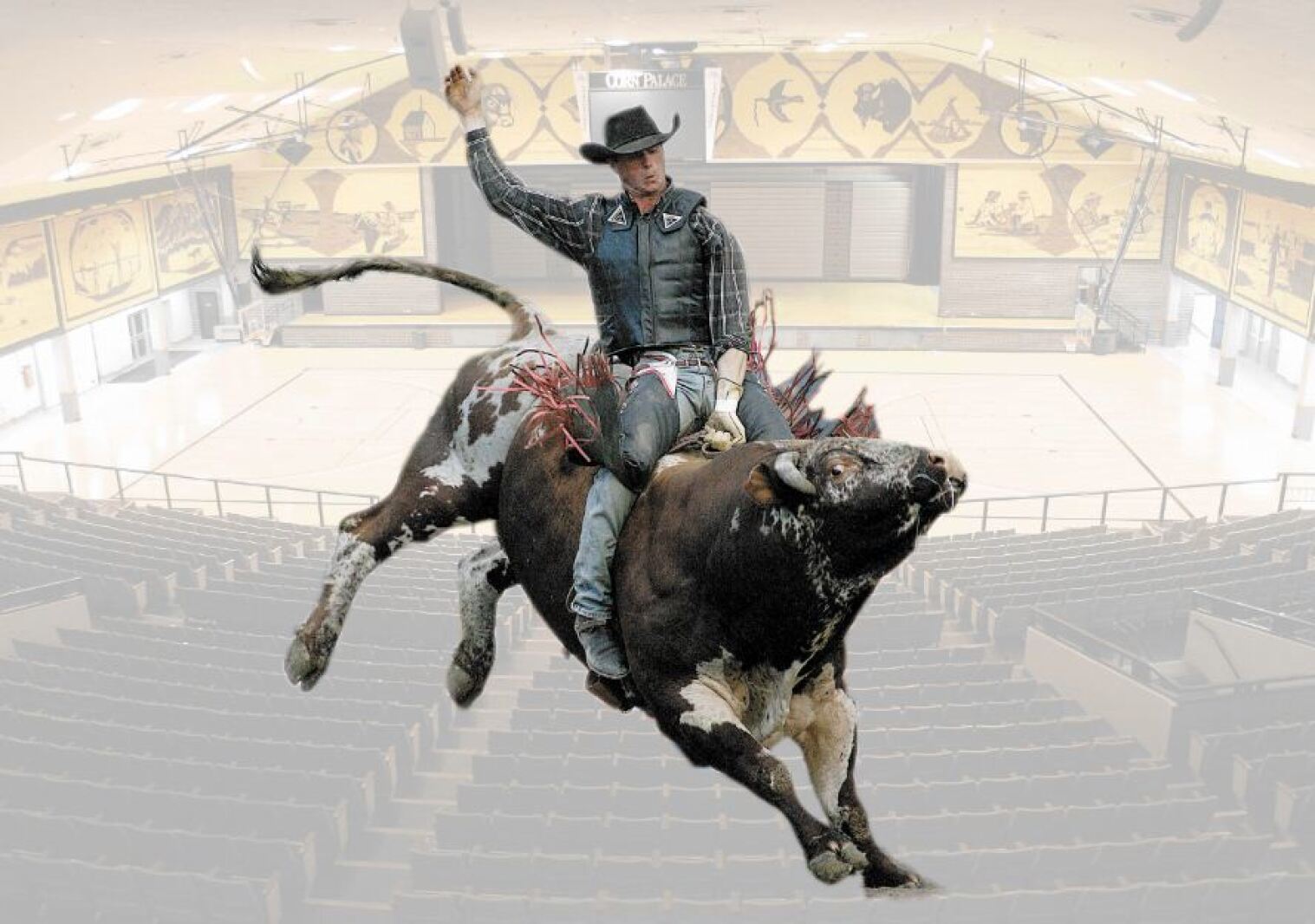 Indoor bull riding comes to Mitchell - Mitchell Republic | News ...