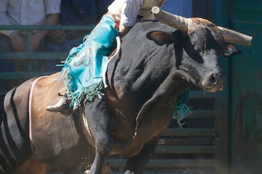 DL man headed to rodeo finals - Detroit Lakes Tribune | News, weather ...