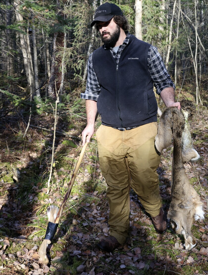 111321.O.DNT.deertrackingdogC4.jpg