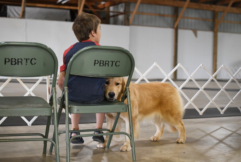 091121.N.BP.DOGSHOW2.jpg