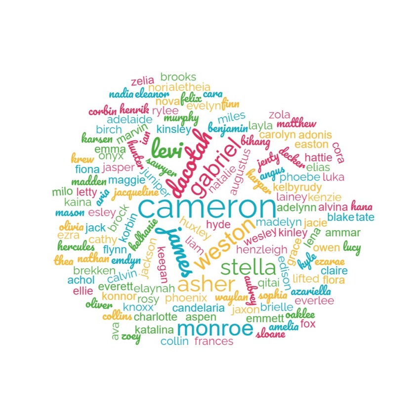 A word cloud with Cameron as the largest name.