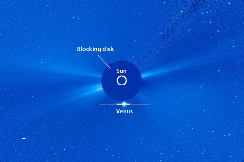 Venus SOHO March 25.jpg