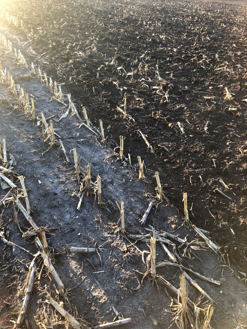 tillage-difference.jpg