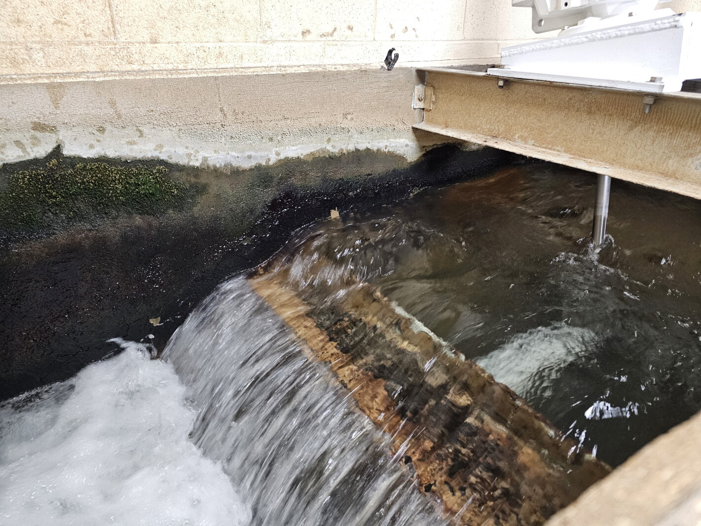 Superior utility works to create water assistance program