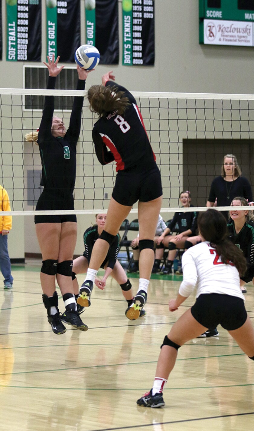 3770671+Trojans VS Pipestone Volleyball 3 rgb.jpg