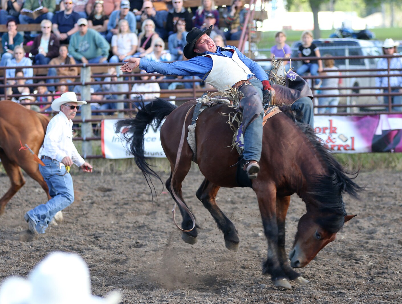 A Few Extras: The photographer's view - Jamestown Sun | News, weather ...