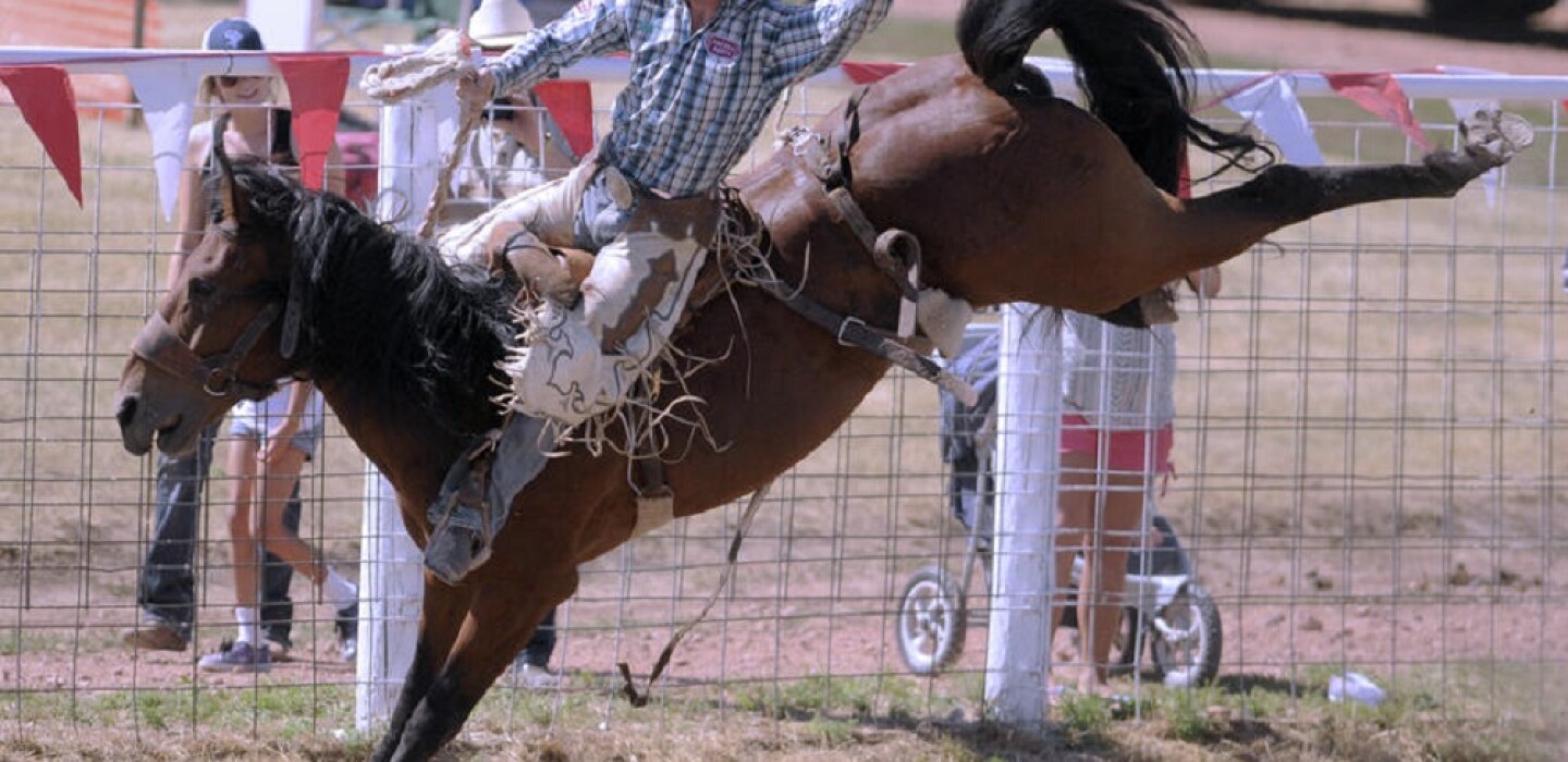 Champions Ride Rodeo draws best bronc riders in the world - Agweek | #1 ...