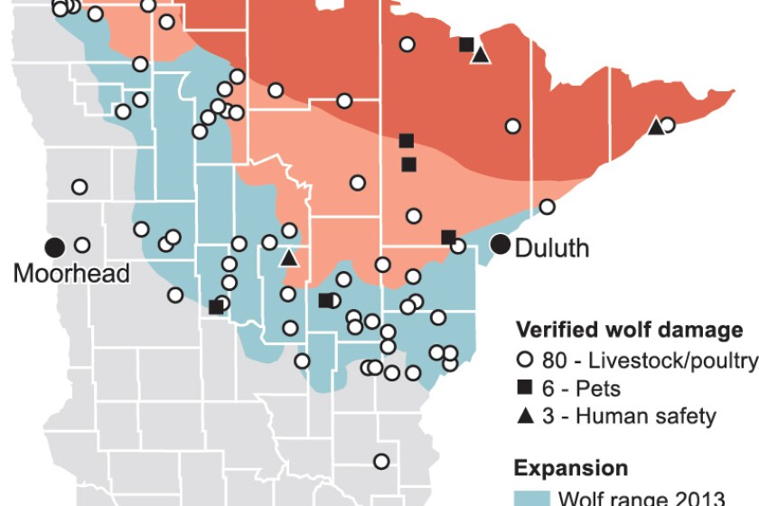 Species in Conflict: Minnesota wolf management follows bumpy path on ...