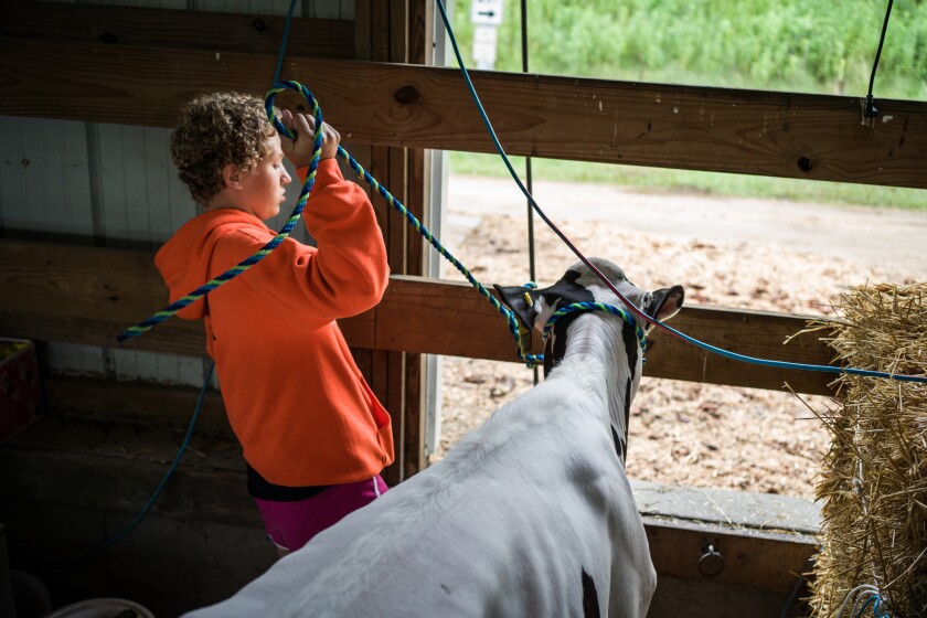Wabasha County Fair