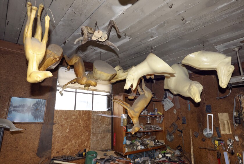 Taxidermy forms hanging from a ceiling.