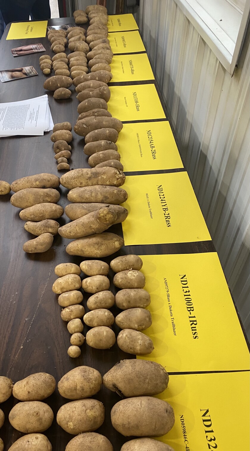 2921spuds.jpg