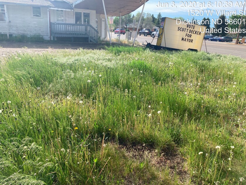 Long grass and weeds are shown in the yard at 1520 West Villard St. in Dickinson in June of 2020.