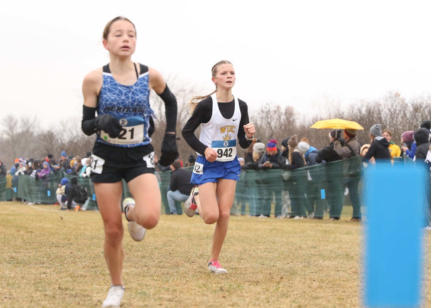 Area Cross-Country at State 2022.