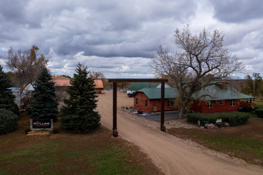North Dakota's Black Leg Ranch boosts business with black Angus, bison ...