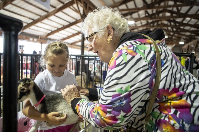 Keeley Slinden, 7, at left, of Grove City, shows off a Nigerian Dwarf Goat to Darlene Bratberg of Willmar during the Kandiyohi County Fair in Willmar on Friday, August 12, 2022.