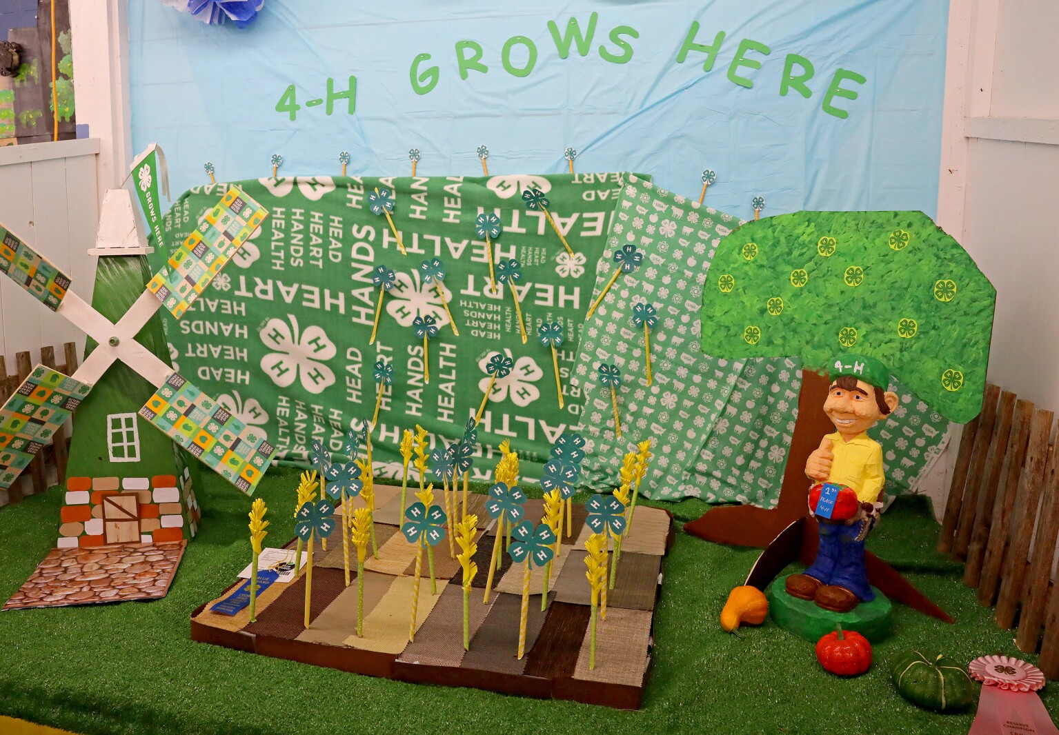 Crow Wing County Fair Aug. 2022.