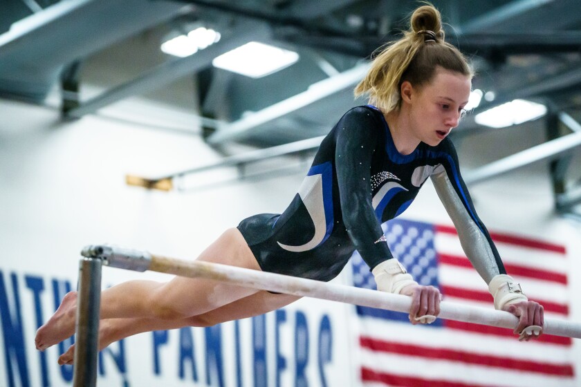 Section 1AA Gymnastics Meet