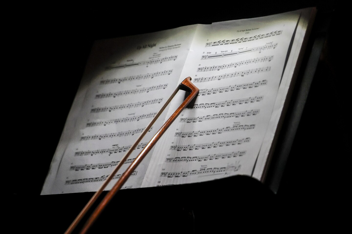 musicians perform on stage