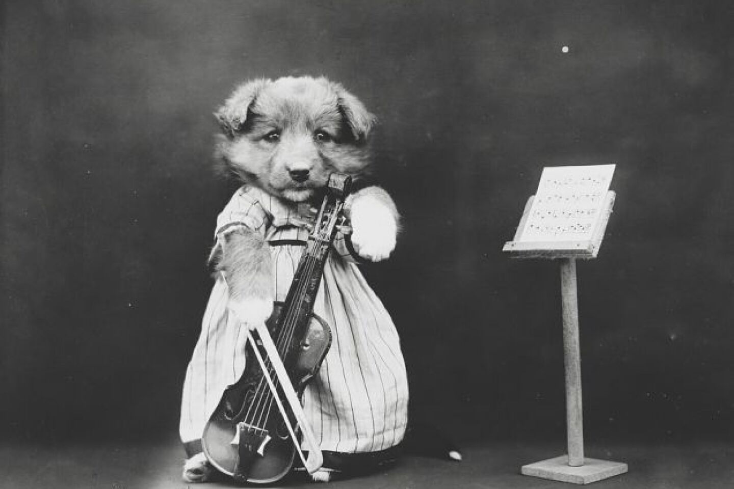 harry-whittier-freeze-1914-3.jpg