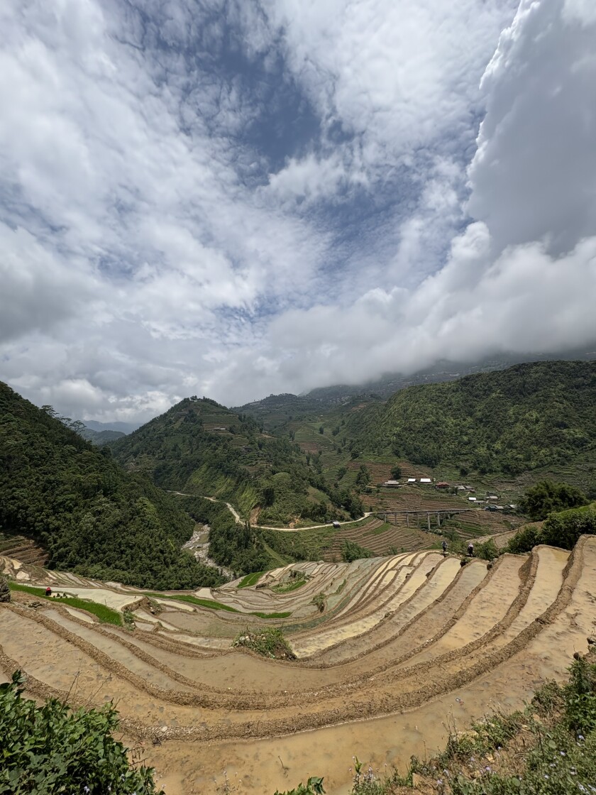 Mountains and rice paddies