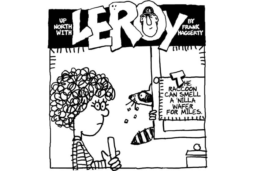 111522-Leroy-Cartoon-raccoon-wafers.jpg