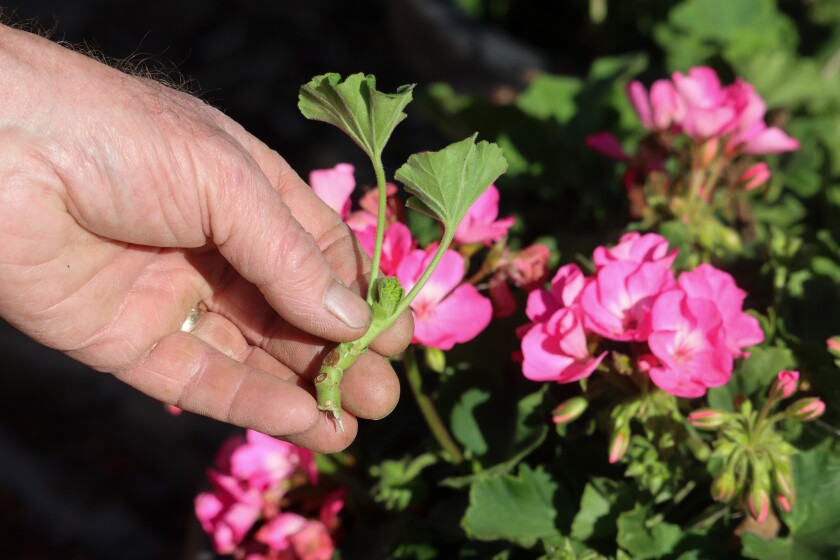 Hzd7ewubsdq Jm Hzd7ewubsdq Jm