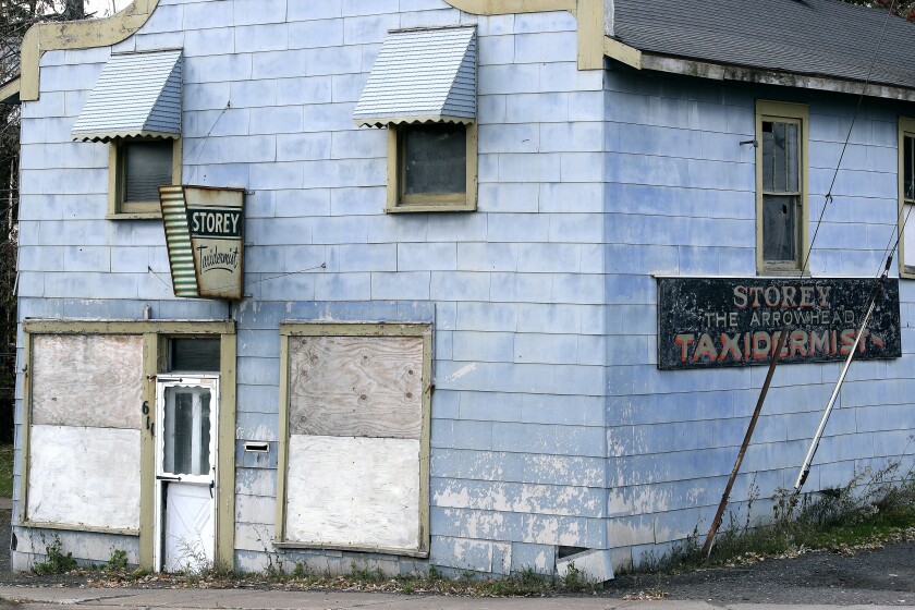 Storey Taxidermy building.