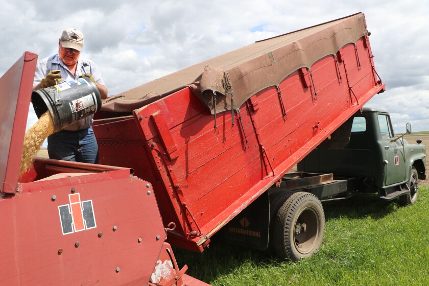 A farmer pours oats into a planter.