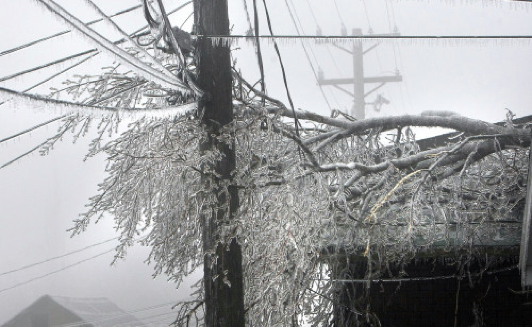 Home Tree Snapping Tree limbs snapping; ice will continue into Tuesday - Duluth News ...