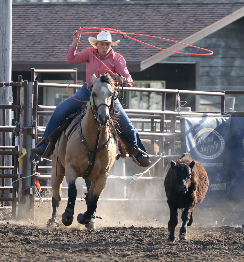 Breakaway Roping Rodeo Desktop A Few Extras: The photographer's view - Jamestown Sun | News, weather ...