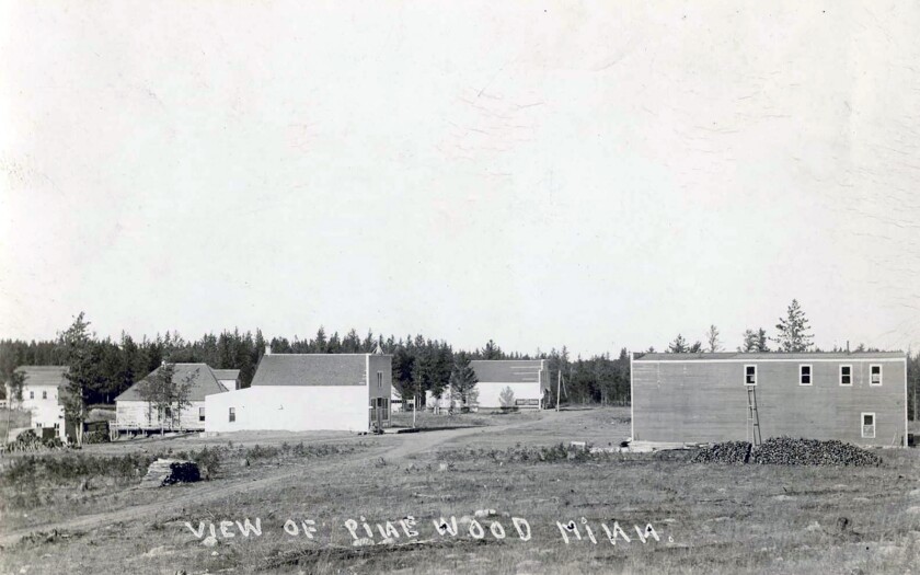 Pinewood Minnesota.jpg