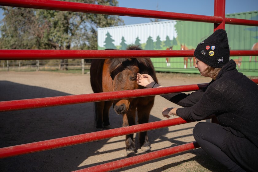 H.O.P.E. Ranch