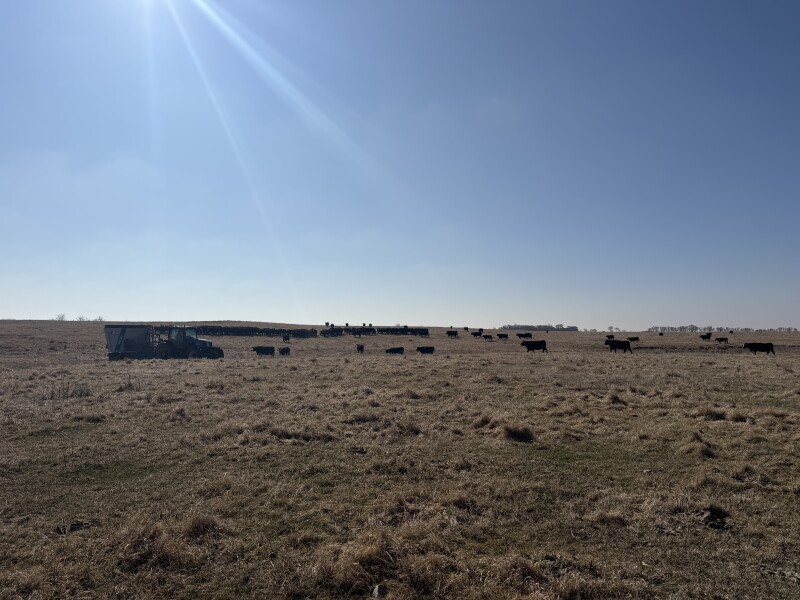 CDATA[
WILLOW LAKE, S.D. — Wildfires continue to burn in Nebraska, and cattlemen in South Dakota are working to help other ranchers in the fire’s path.
South Dakota Cattlemen’s Foundation launched the Cattlemen Helping Cattlemen effort where the organization matched community donations up to $10,000 to help cover the fuel costs for those transporting hay from South Dakota to Nebraska to support ranchers.
“We really truly believe, as most people do, that cattlemen across the country are neighbors, even if we’re separated by hundreds or even thousands of miles, so hearing about and knowing about what many people — some we know, some we don’t — are dealing with the almost 1 million acres of wildfire in Nebraska,” said Jared Knock, rancher and South Dakota Cattlemen’s Foundation board member.
Many of the South Dakota Cattlemen’s affiliates have offered to donate hay, fencing supplies and other things. But, it can be tricky to get all items those down to Nebraska.
“A lot of guys have never tried to ship a load of hay to Nebraska, across state lines, deal with those regulations. Many of us even if we have a semi, maybe wouldn’t trust it to put it on the road 500 miles away when we are typically hauling hay just a few miles away from our fields back to the homeplace,” Knock said.
That’s why this funding is critical to help cover some of the logistics of these donations.
“The funding of the fuel, because fuel has gone up a little bit and getting trucks that are certified to go across state lines and so we thought the best way that we could help our individual members, individuals affiliates across the state would be to offer a fund pool that just kind of covers some of those costs,” Knock said.
Knock is a cattle, sheep, hog and crop producer near Willow Lake, South Dakota. He said watching what is happening just a state away makes a producer consider what they would do if they were in that situation.
“It’s just heartbreaking and devastating for us and it makes you pause and think about what would and what could you possibly do to get through the day, to get through the month, to get through the year and in future years if something like that would happen in your backyard or on your operation,” he said. “So we are glad to be able to participate in a program that helps provide needed supplies, support and even just our sympathies and commonalities that we can offer to our fellow cattlemen, even if they are a state away.”
![