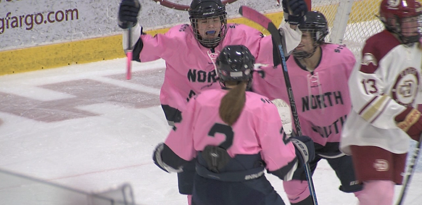 North South Holds Off Davies Girls Hockey InForum Fargo Moorhead north-south-holds-off-davies-girls-hockey-inforum-fargo-moorhead