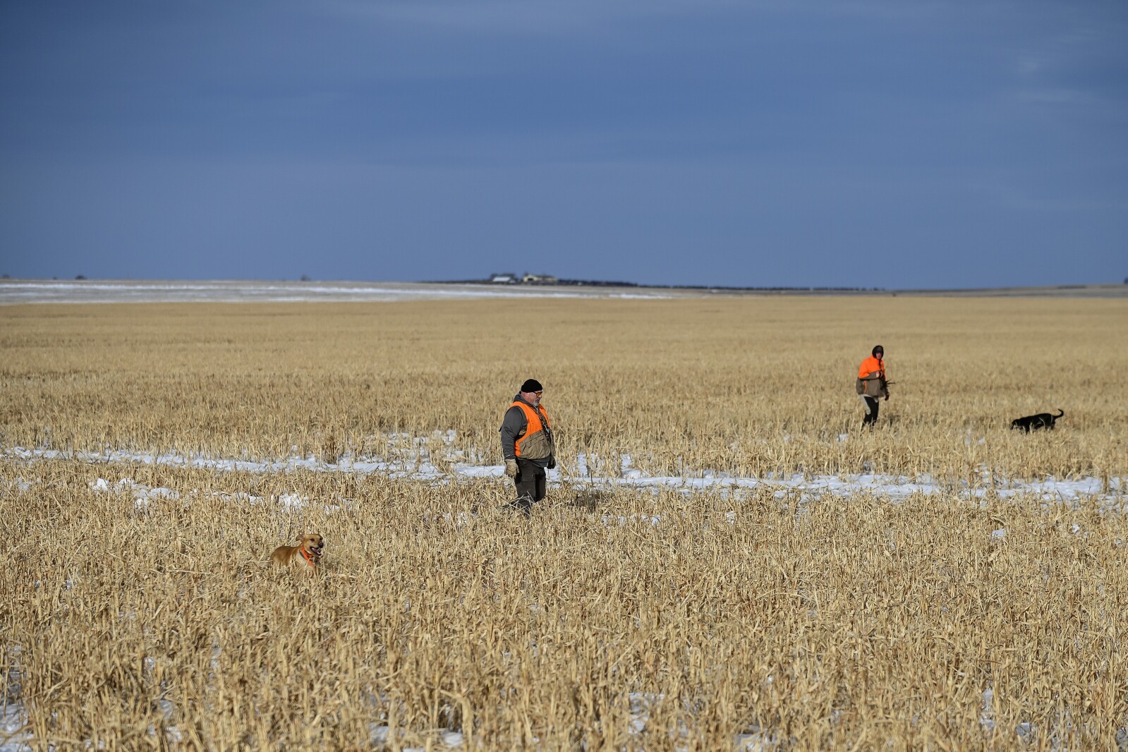 011222.N.DR.HUSKERHUNT79.jpg